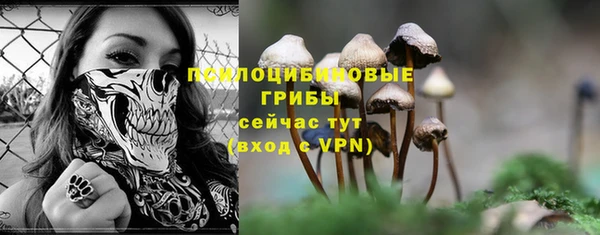 мдпв Беломорск
