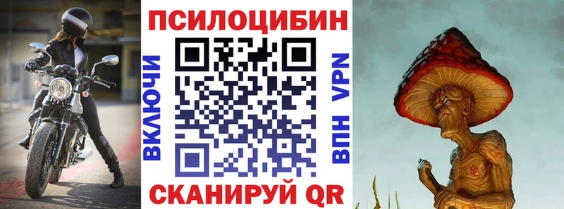 blacksprut маркетплейс Владивосток Псилоцибиновые грибы Cubensis